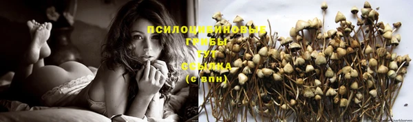 прущая мука Туринск
