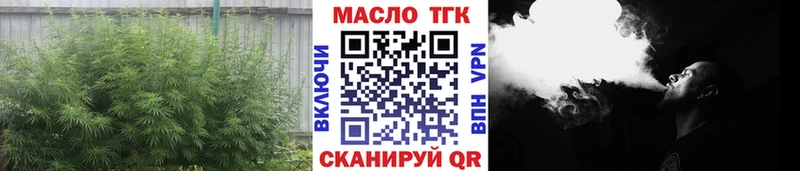 Купить закладки  Онега  ТГК вейп с тгк 